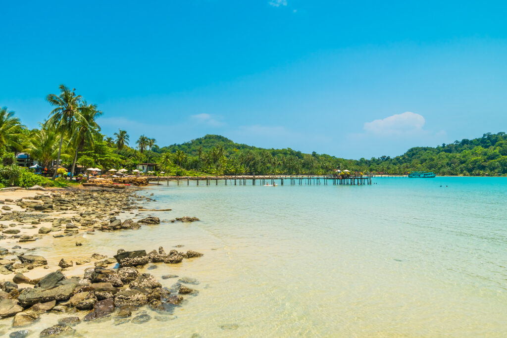 Sure Trip Offer Air Ticket